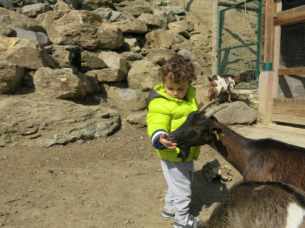 Apartamentos Rurales Les Barnedes Molló المظهر الخارجي الصورة